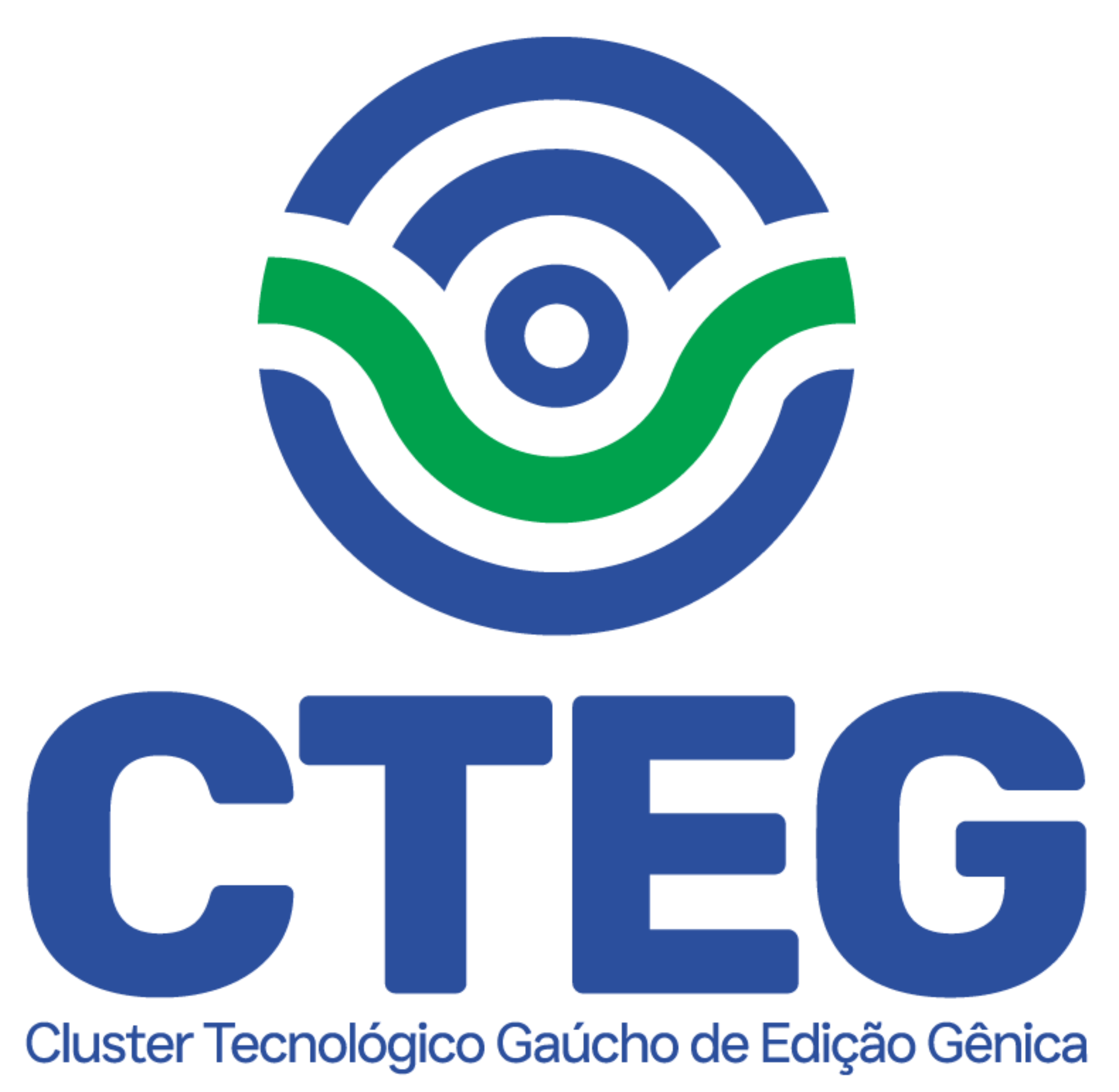 CTEG Logo